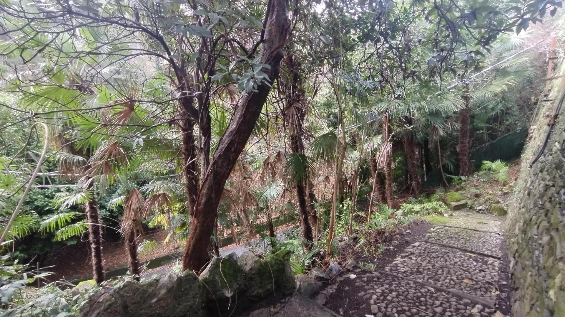 The Garden House Apartamento Como
